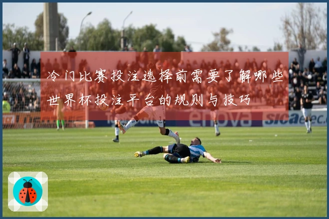 冷门比赛投注选择前需要了解哪些世界杯投注平台的规则与技巧