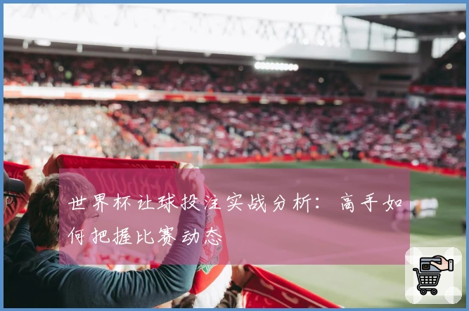 世界杯让球投注实战分析：高手如何把握比赛动态