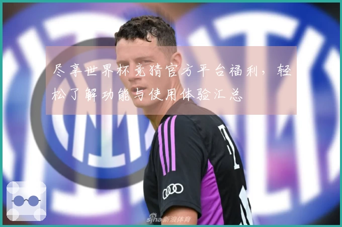 尽享世界杯竞猜官方平台福利，轻松了解功能与使用体验汇总