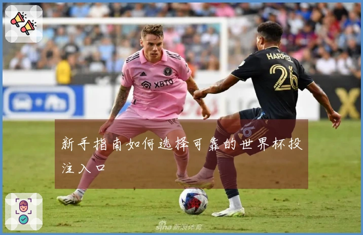 新手指南如何选择可靠的世界杯投注入口