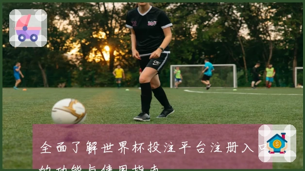 全面了解世界杯投注平台注册入口的功能与使用指南