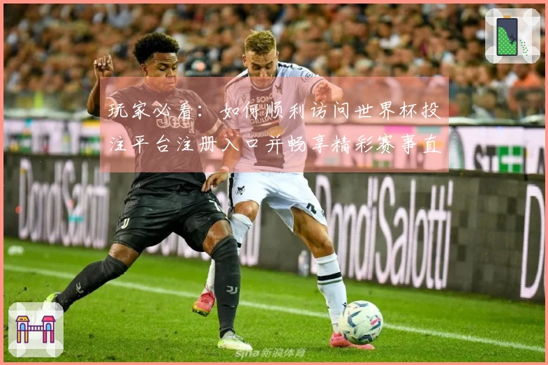 玩家必看：如何顺利访问世界杯投注平台注册入口并畅享精彩赛事直播