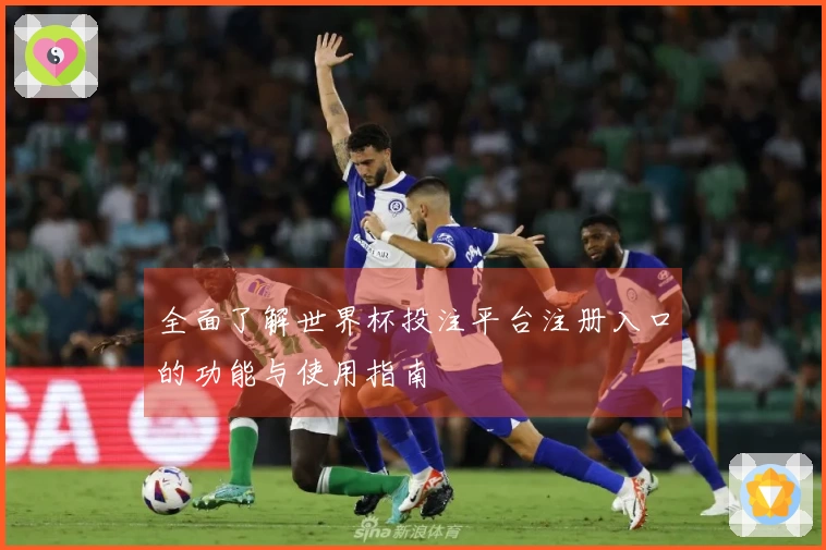 全面了解世界杯投注平台注册入口的功能与使用指南